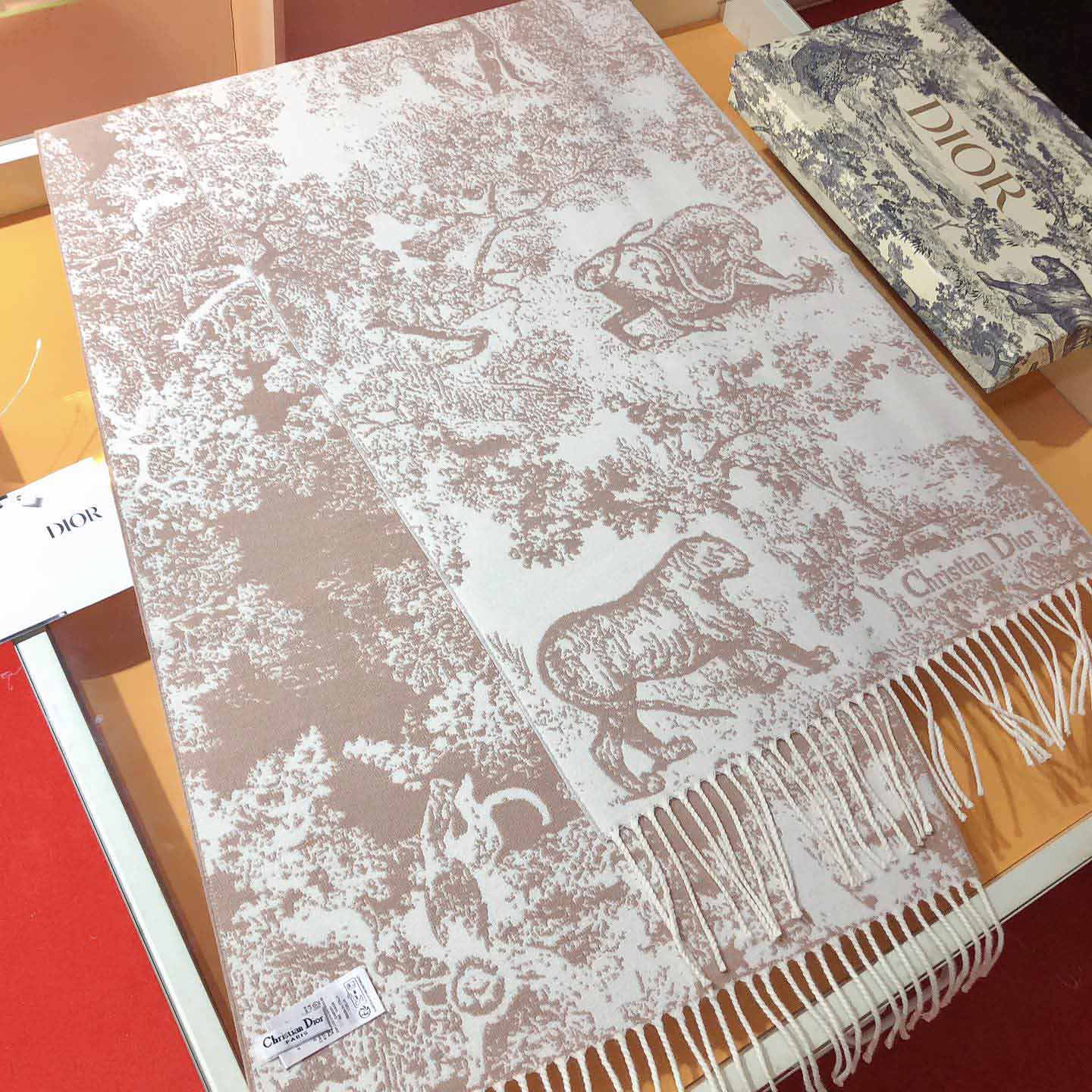 Dior Toile de Jouy Sauvage Scarf - FashionPlug