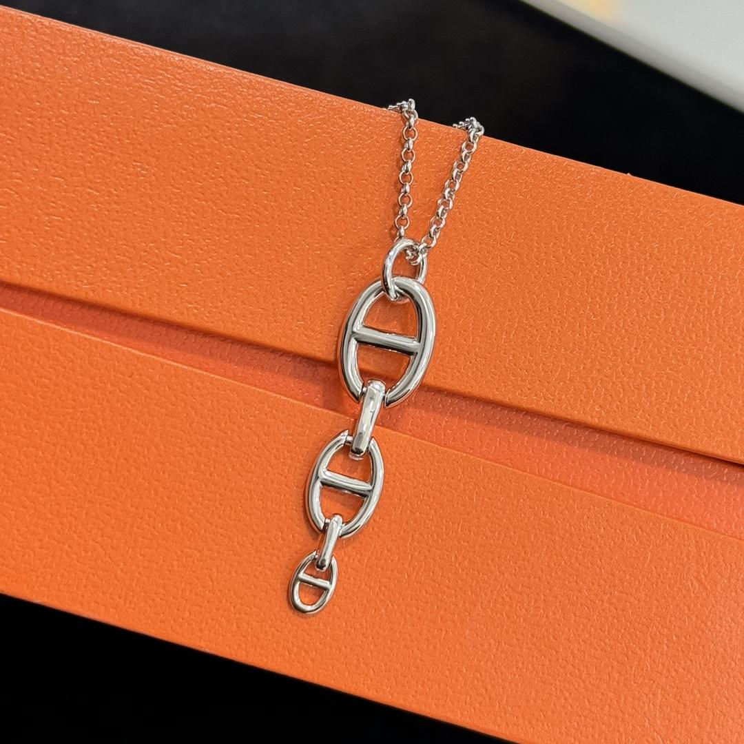 Hermès Pre-Owned 2010s Chaîne d'Ancre Necklace - FashionPlug