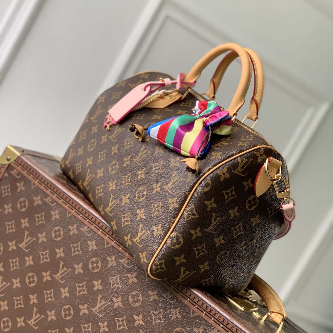 Louis Vuitton Speedy Soft 30   M26498 - FashionPlug