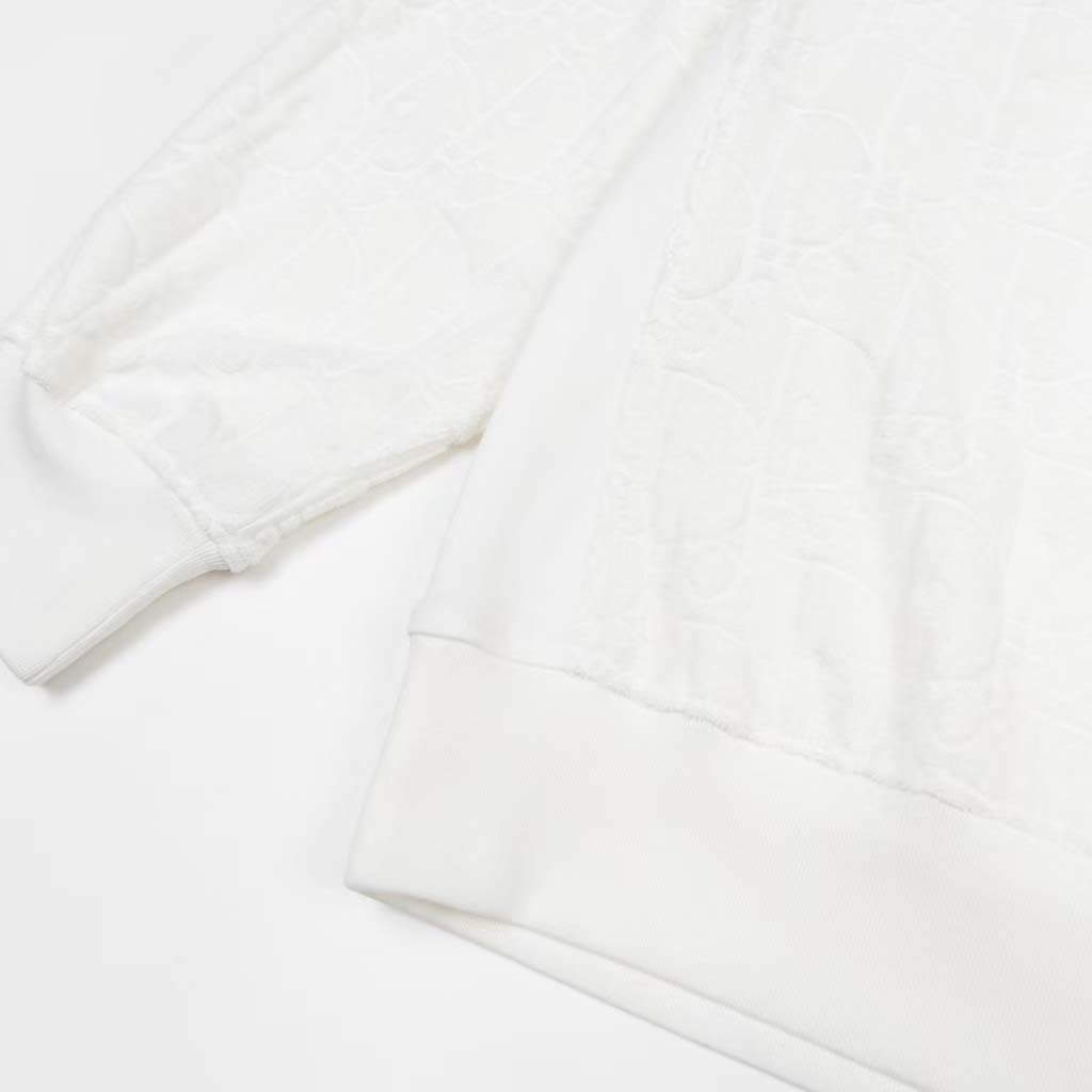 Dior Oblique Hoodie - FashionPlug