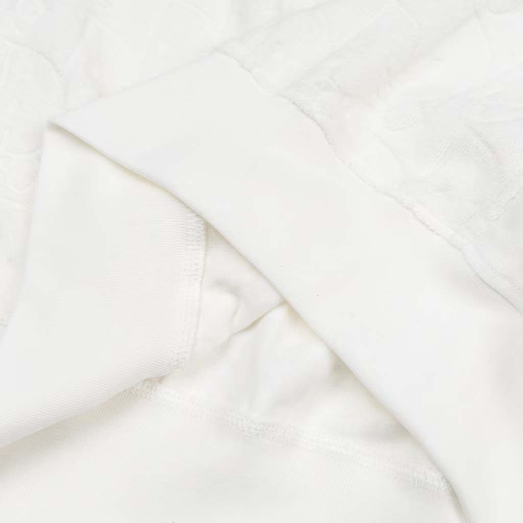 Dior Oblique Hoodie - FashionPlug