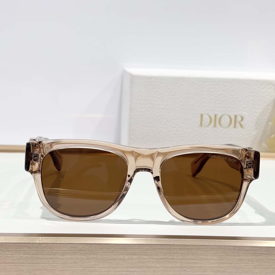 Dior  Oblique S4I - FashionPlug