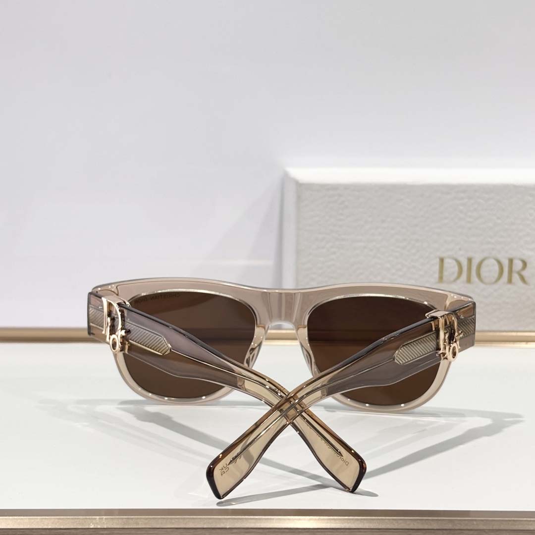 Dior  Oblique S4I - FashionPlug
