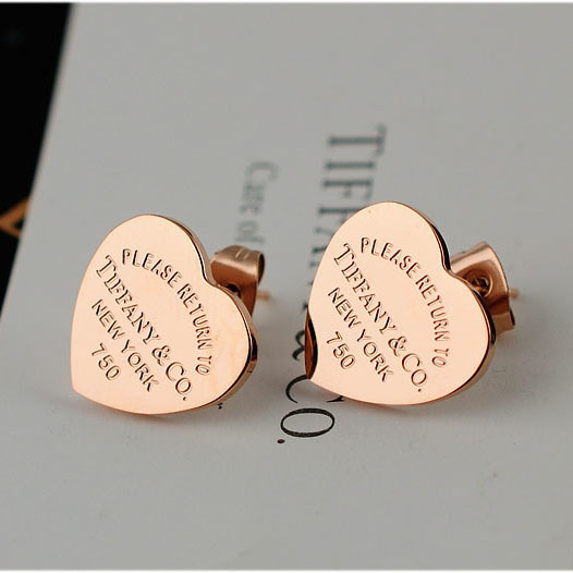 Tiffany & Co.Earrings - FashionPlug