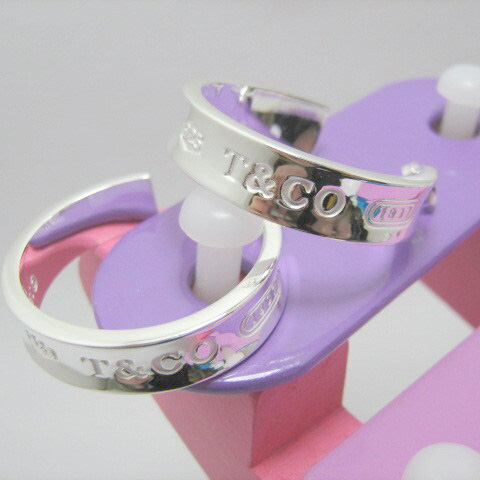 Tiffany & Co.Earrings - FashionPlug