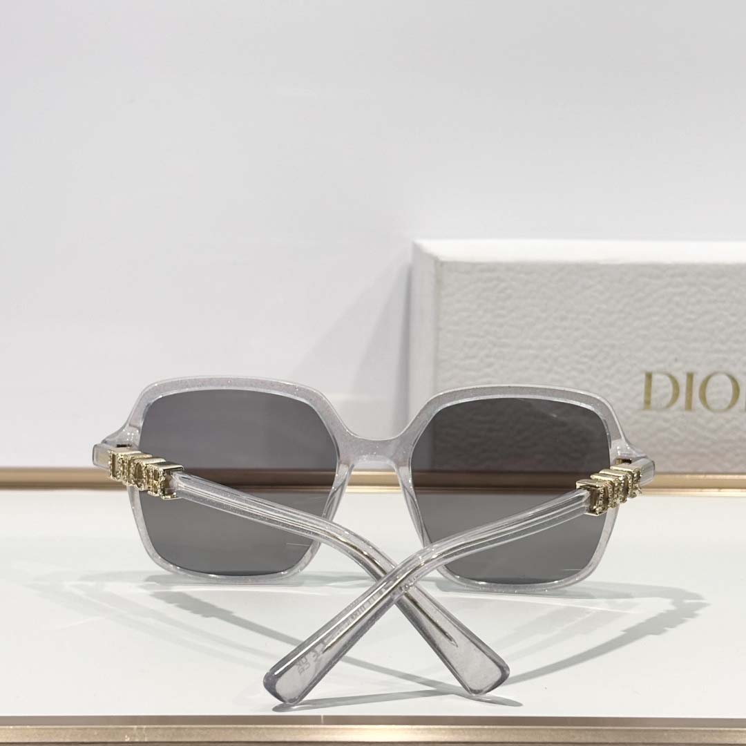 Dior DiorTreasure S1I - FashionPlug