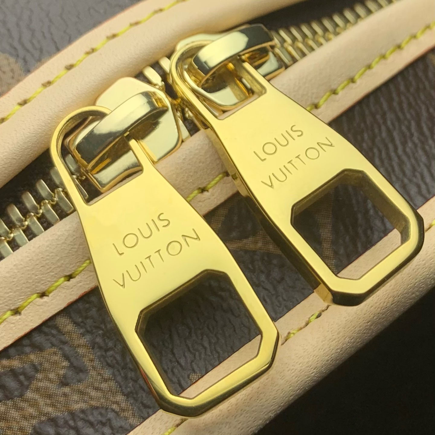 Louis Vuitton Dog Bag M45662 - FashionPlug