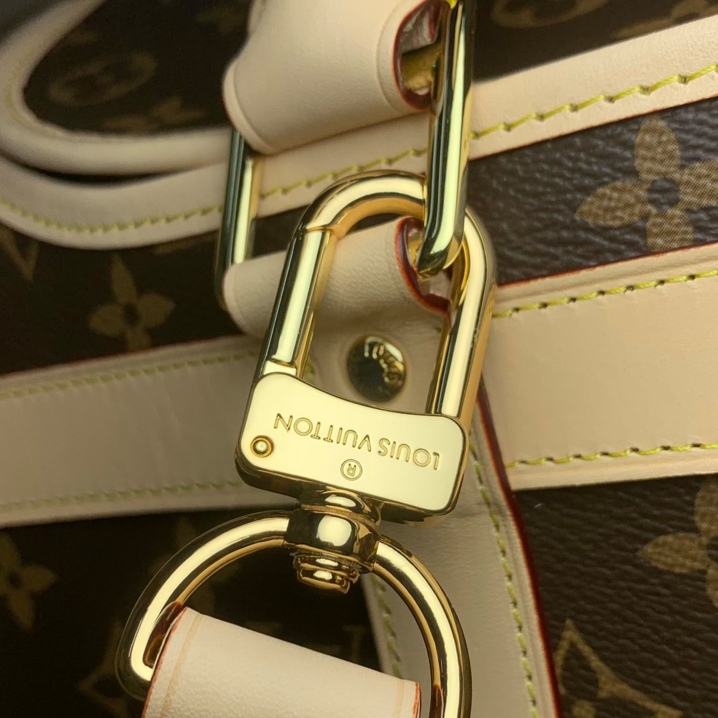 Louis Vuitton Dog Bag M45662 - FashionPlug