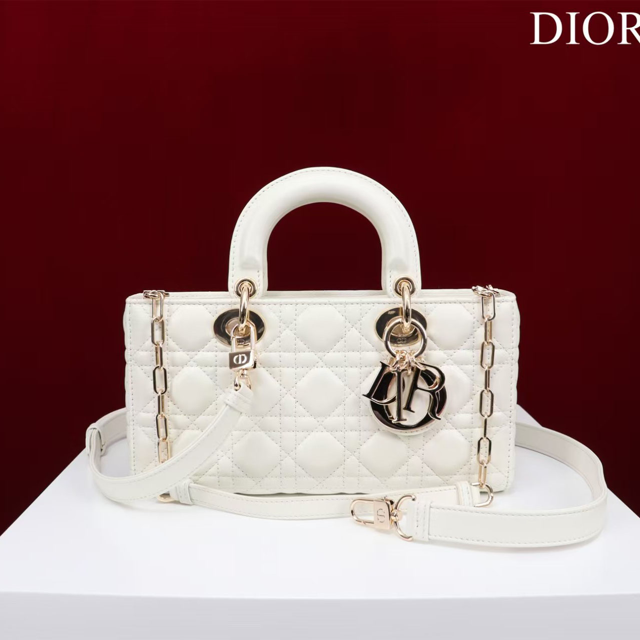 Dior Medium Lady D-Joy Bag - FashionPlug