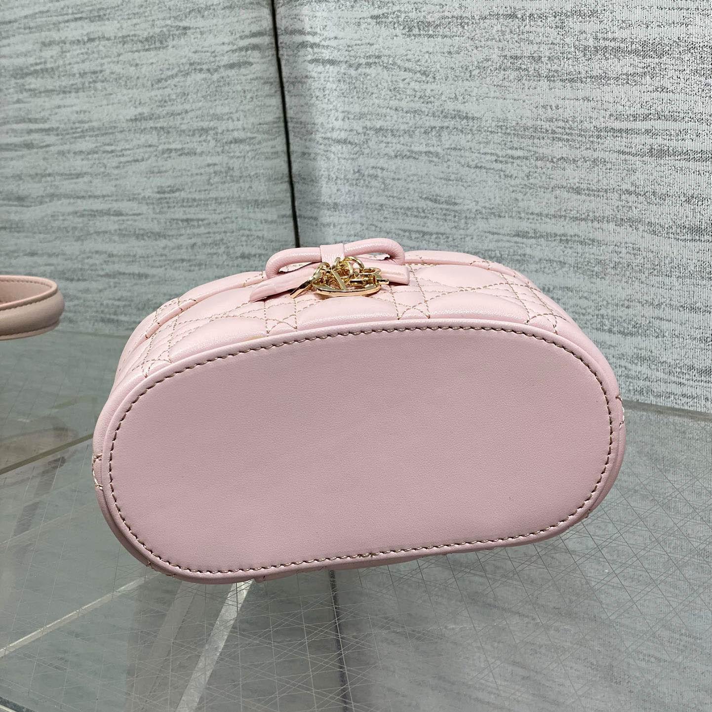 Dior Mini Vanity Bag - FashionPlug