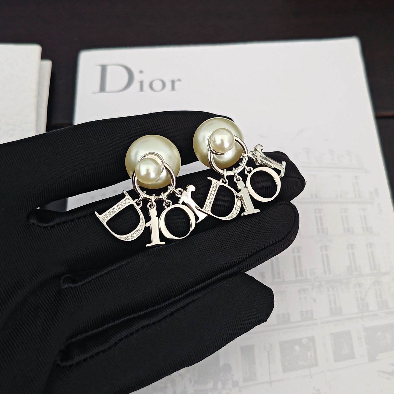 Dior Tribales Earrings - FashionPlug