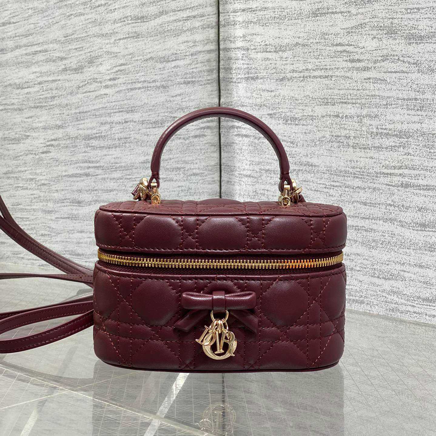 Dior Mini Vanity Bag - FashionPlug