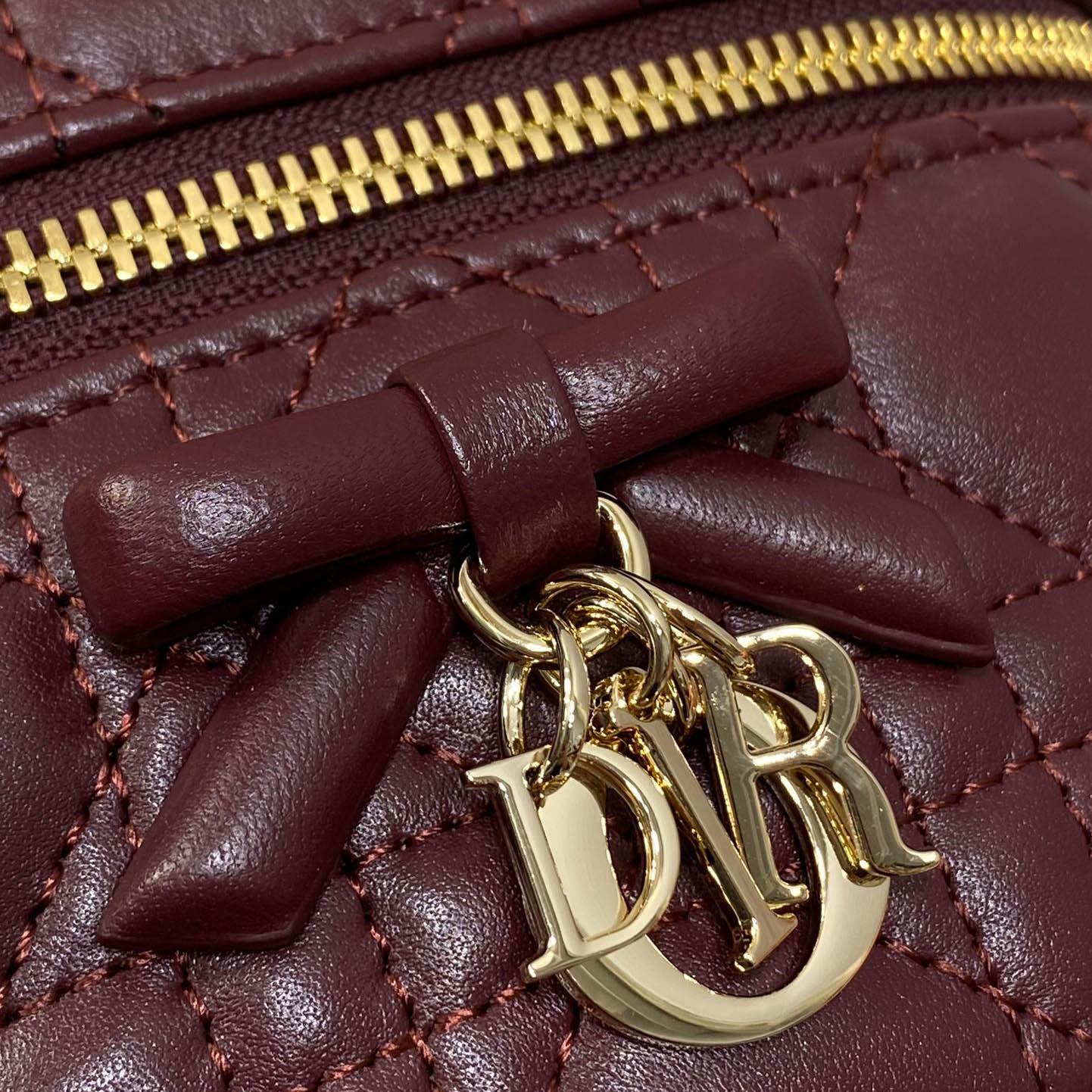 Dior Mini Vanity Bag - FashionPlug