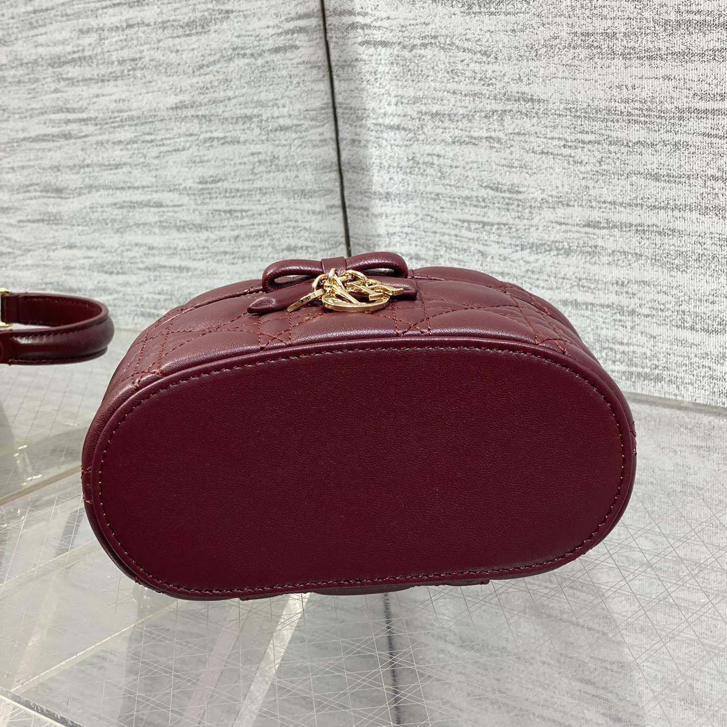 Dior Mini Vanity Bag - FashionPlug