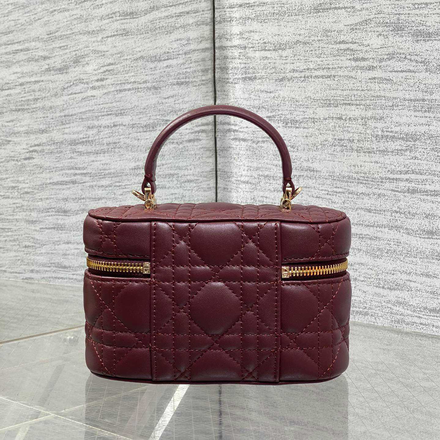 Dior Mini Vanity Bag - FashionPlug