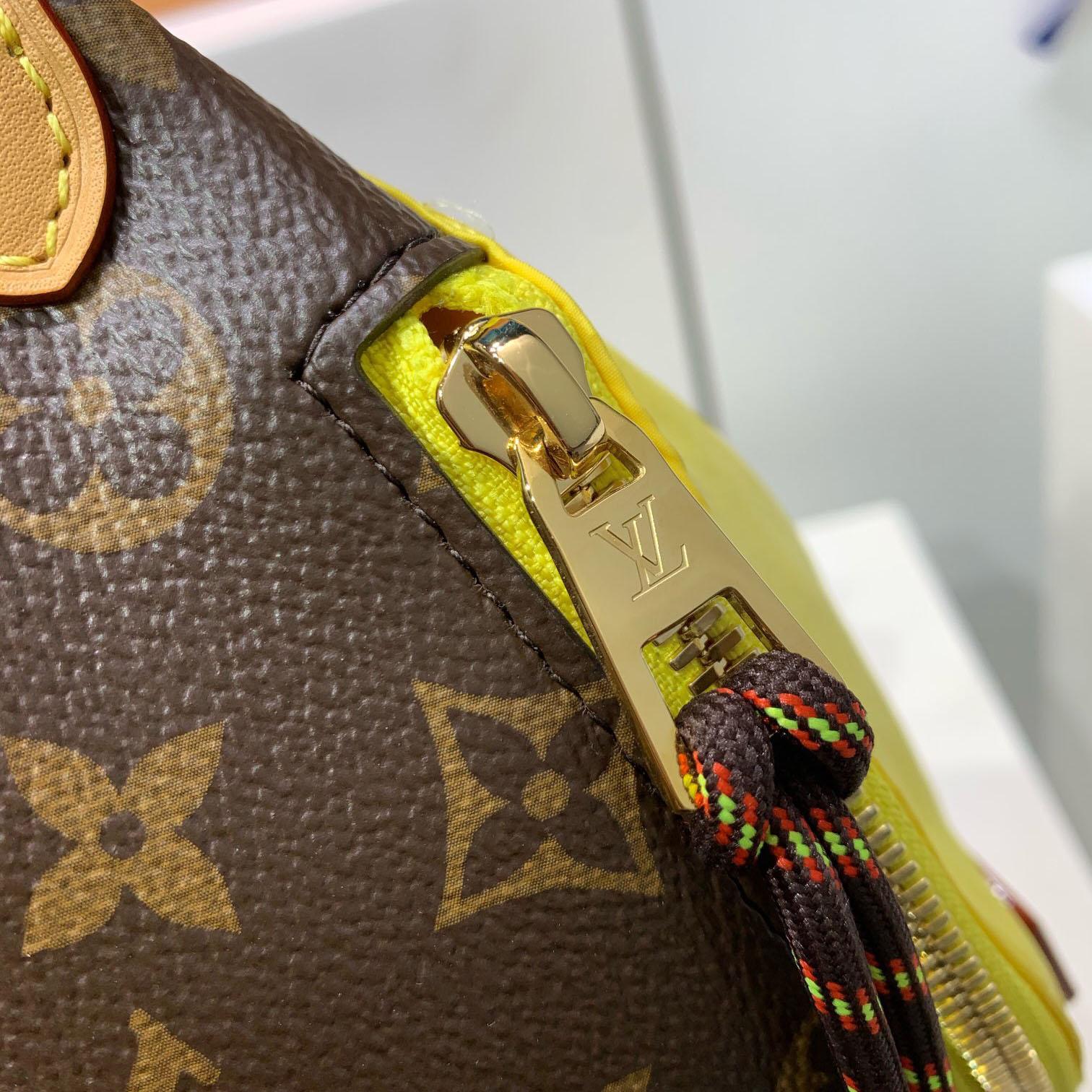 Louis Vuitton Bumbag M27237 - FashionPlug