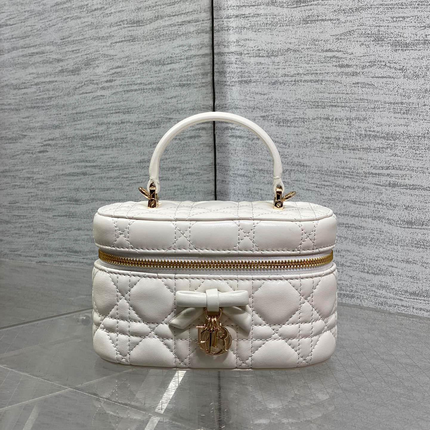 Dior Mini Vanity Bag - FashionPlug