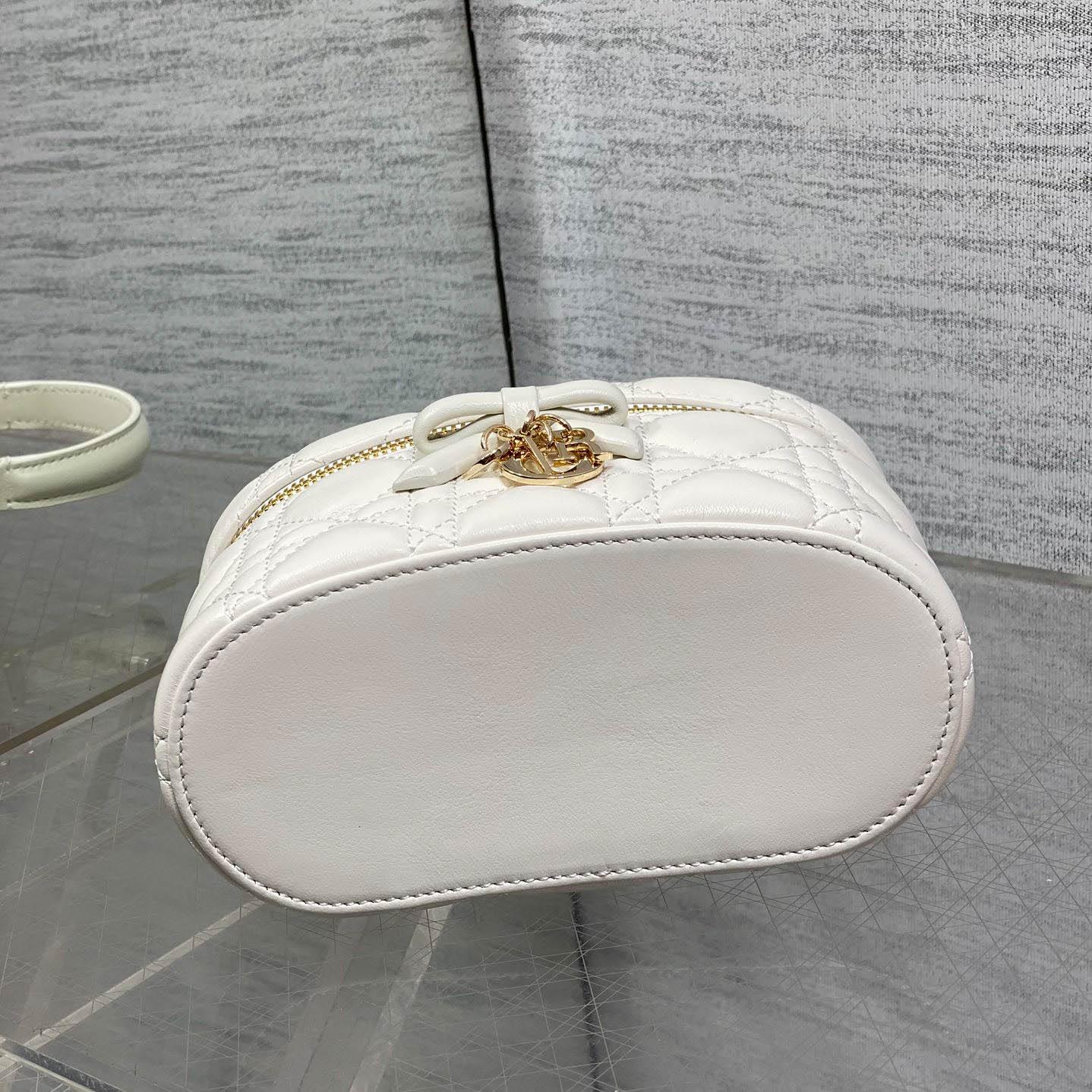 Dior Mini Vanity Bag - FashionPlug