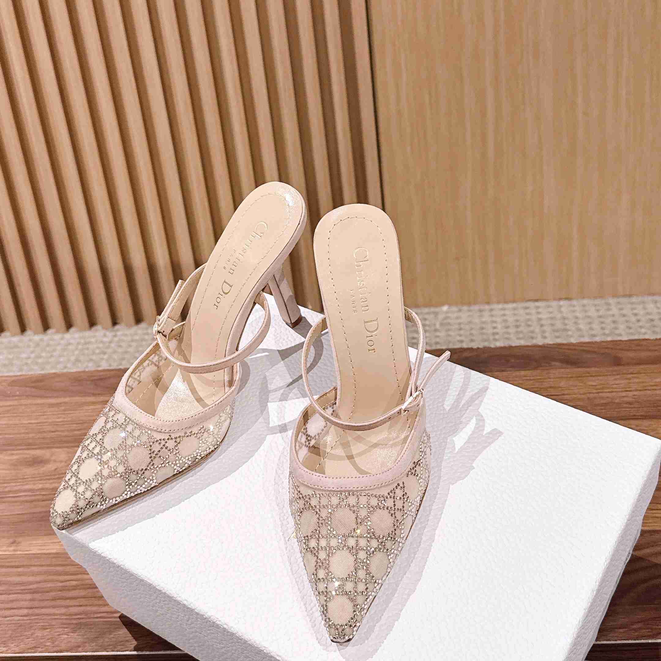 Dior Capture Heeled Mule - FashionPlug