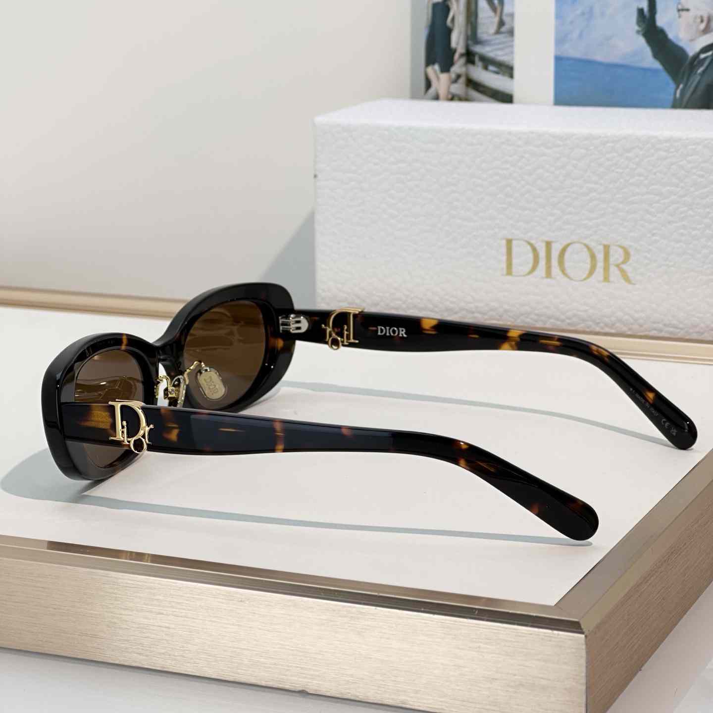 Dior Oblique B1F Sunglasses - FashionPlug