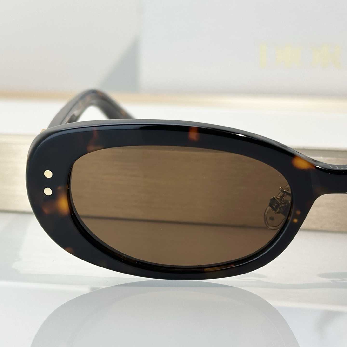 Dior Oblique B1F Sunglasses - FashionPlug