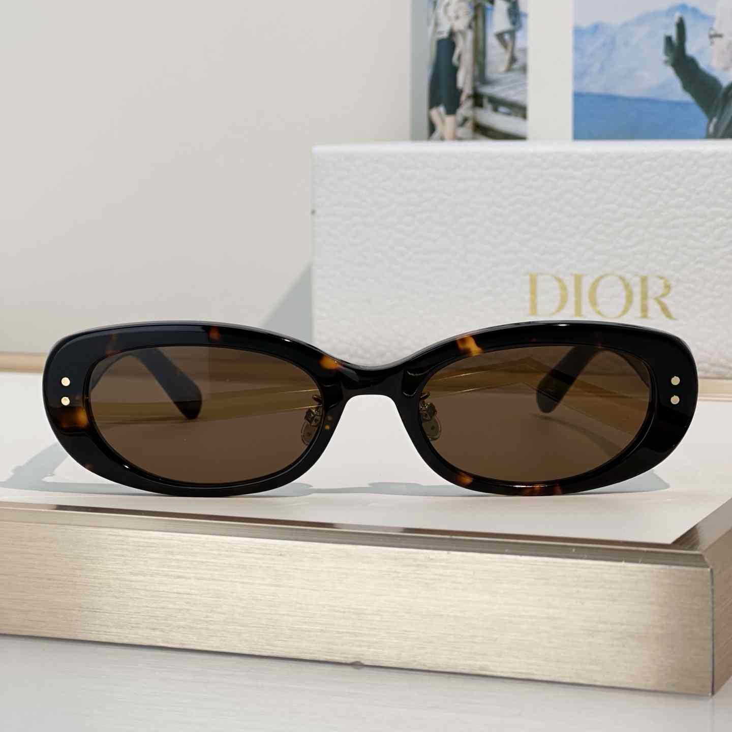 Dior Oblique B1F Sunglasses - FashionPlug