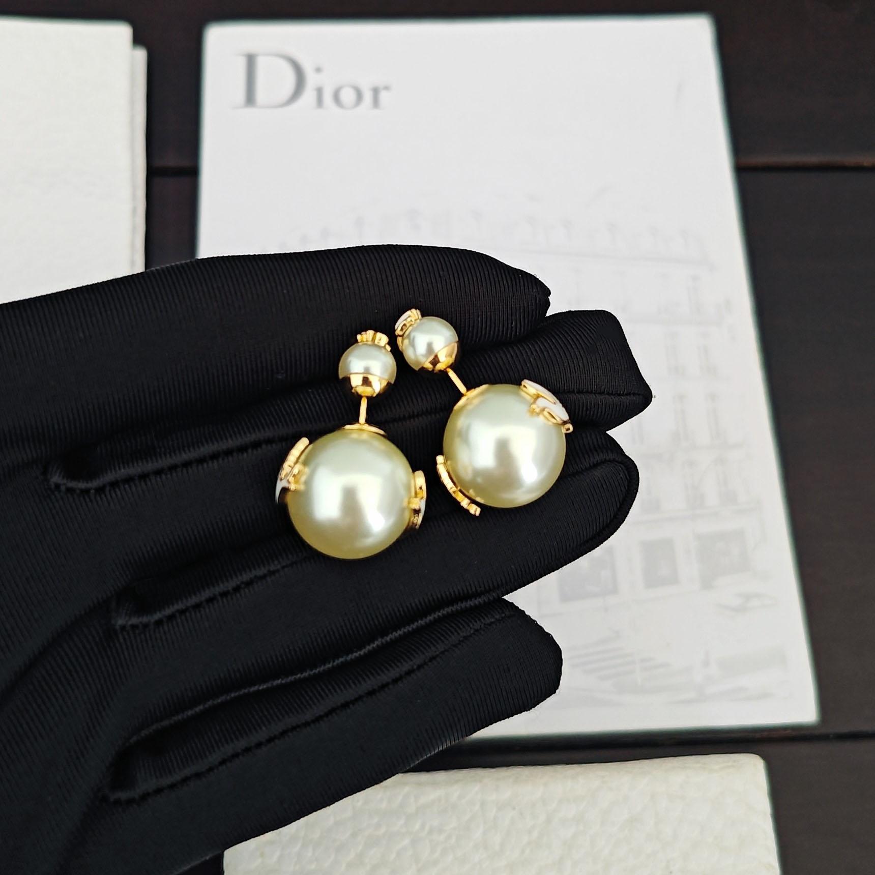 Dior Dioramour Dior Tribales Earrings - FashionPlug