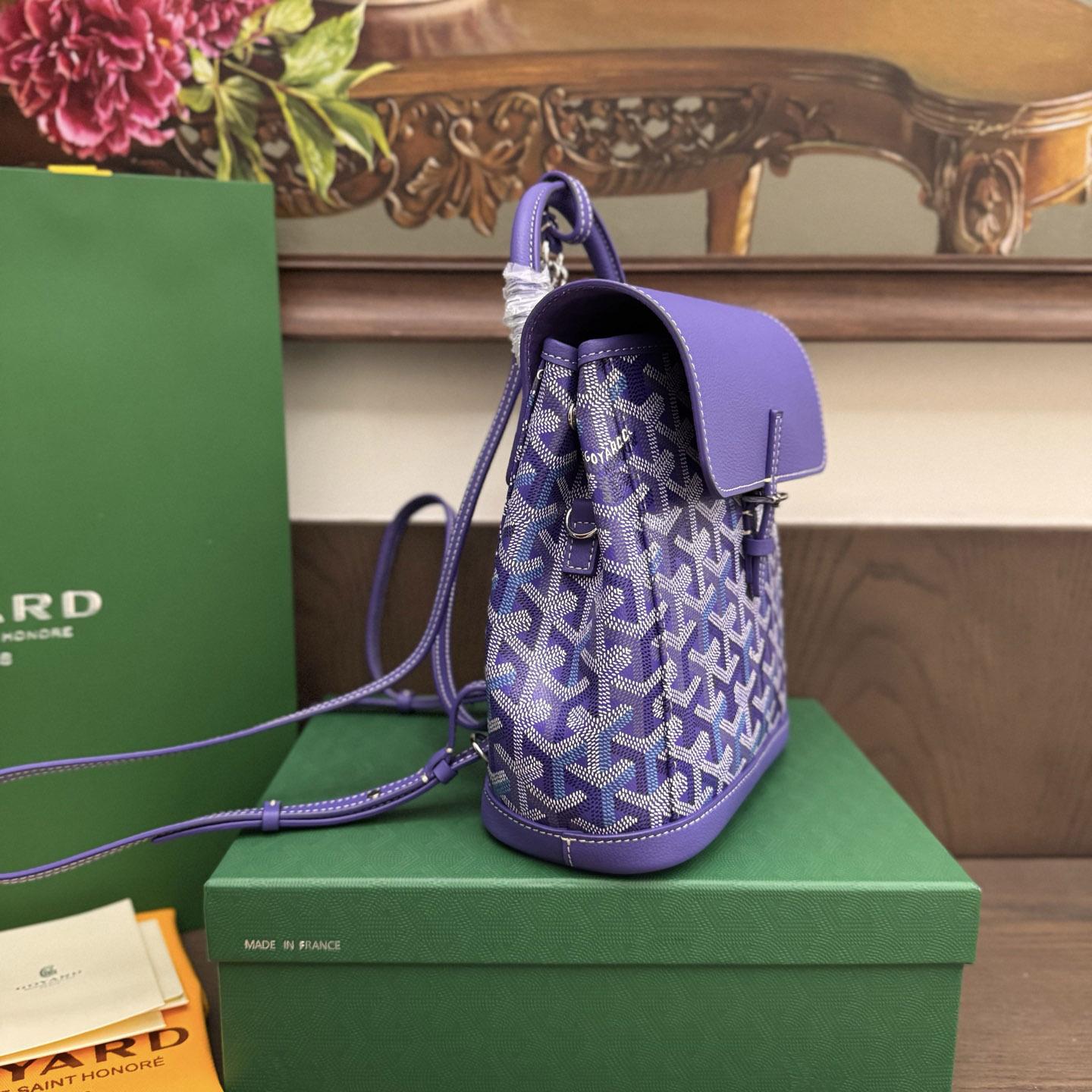 Goyard Alpin Mini Backpack Limited Edition - FashionPlug