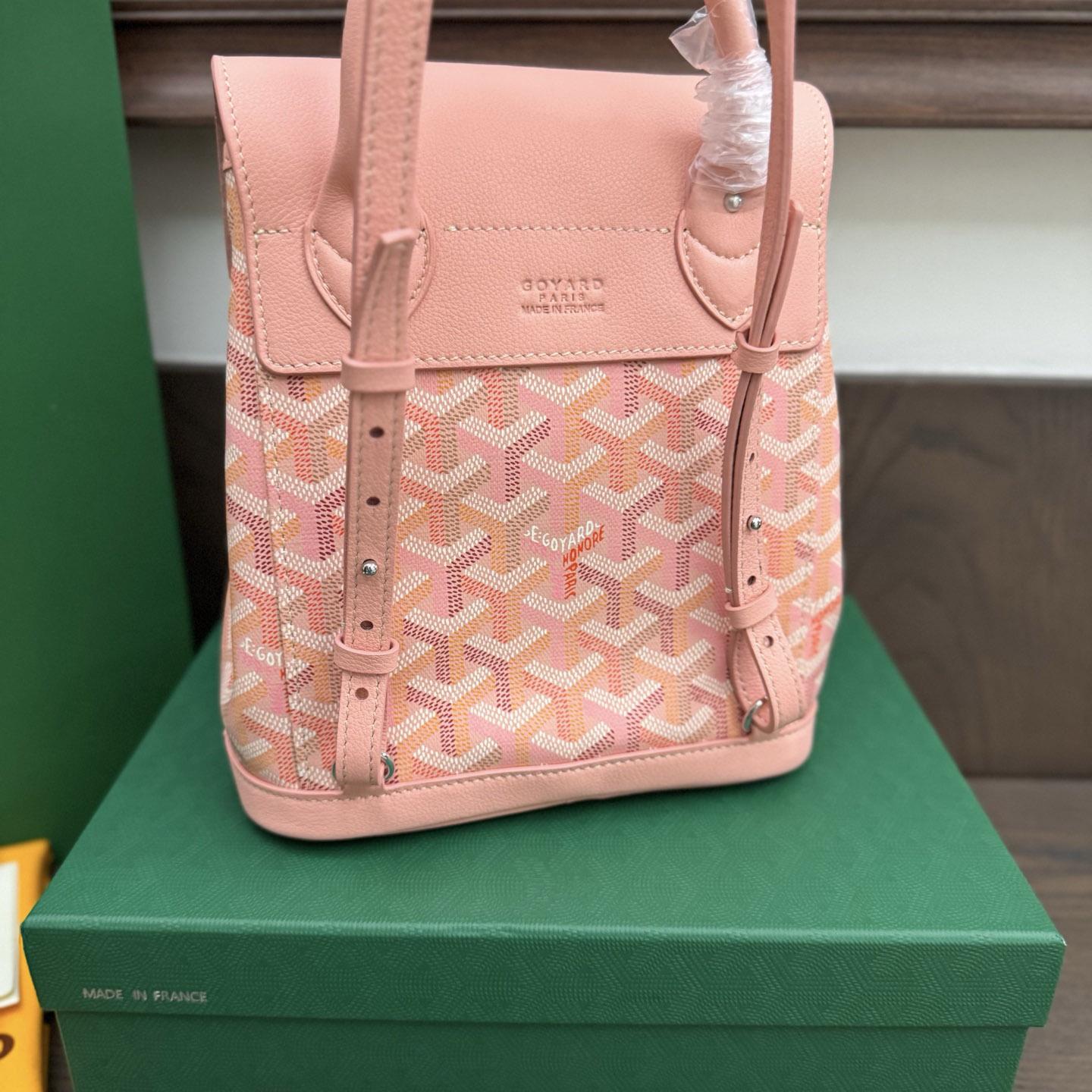 Goyard Alpin Mini Backpack Limited Edition - FashionPlug