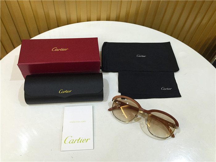 Cartier 1116679 Sunglasses In Silver Brown Gradient - FashionPlug