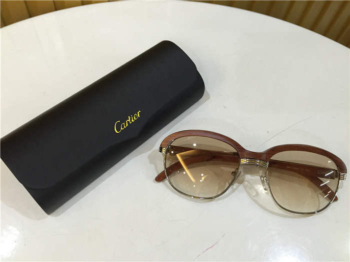 Cartier 1116679 Sunglasses In Silver Brown Gradient - FashionPlug