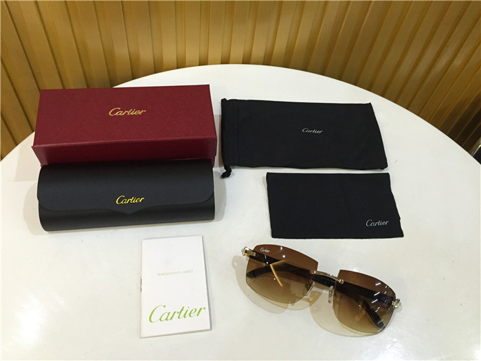 Cartier 4189705 White Mix Black Buffalo Sunglasses In Silver - FashionPlug