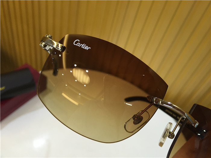 Cartier 4189705 White Mix Black Buffalo Sunglasses In Silver - FashionPlug