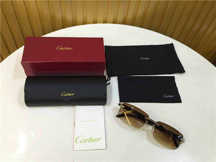 Cartier 3524012 Black Cattle Horn Eyeglasses In Silver - FashionPlug