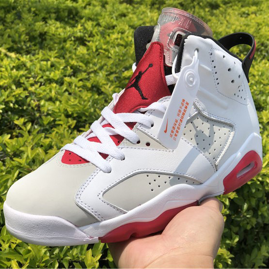 Jordan AJ6 Sneaker - FashionPlug