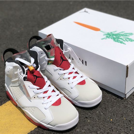 Jordan AJ6 Sneaker - FashionPlug