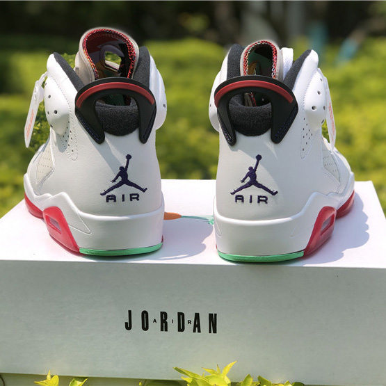 Jordan AJ6 Sneaker - FashionPlug