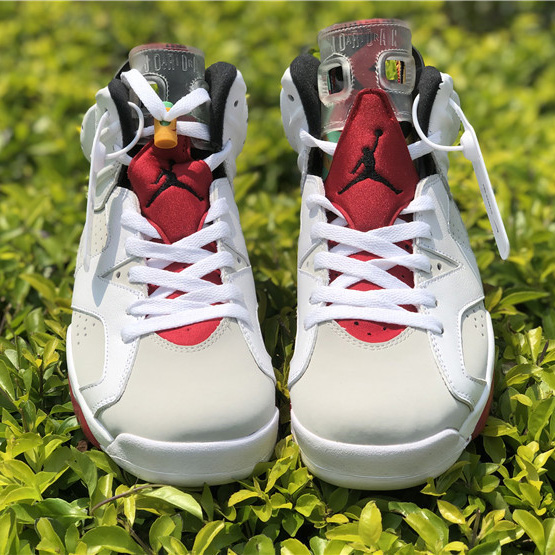 Jordan AJ6 Sneaker - FashionPlug