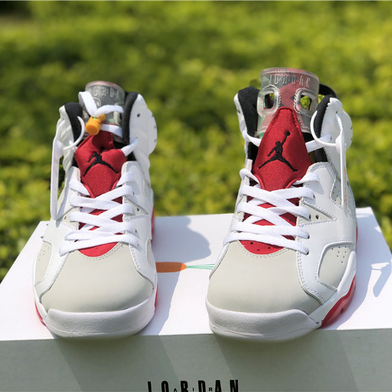 Jordan AJ6 Sneaker - FashionPlug