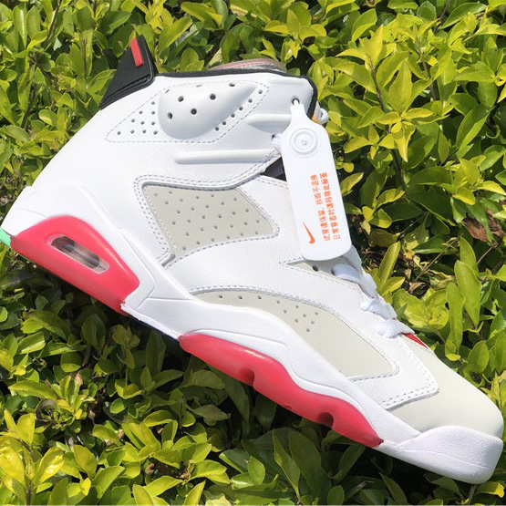 Jordan AJ6 Sneaker - FashionPlug