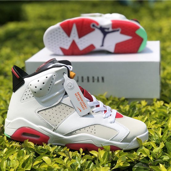 Jordan AJ6 Sneaker - FashionPlug