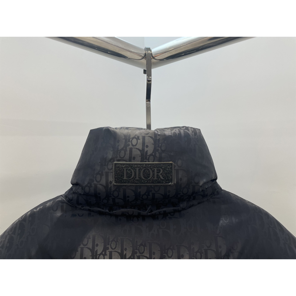 Dior Oblique Down Jacket  - FashionPlug