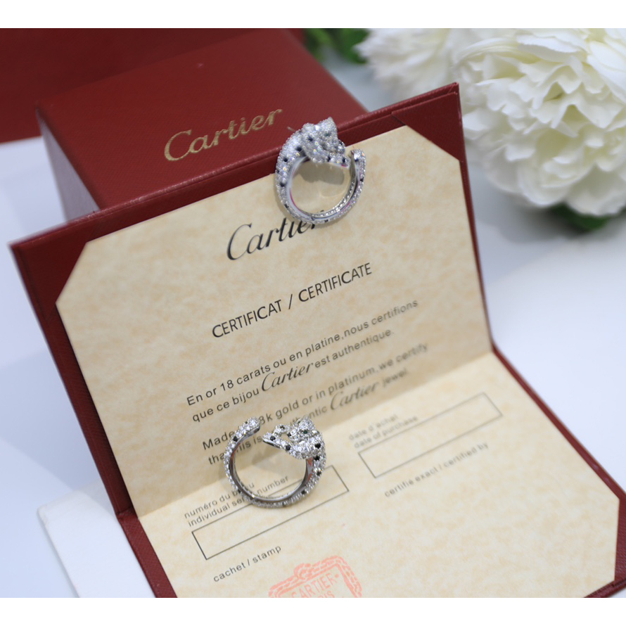Cartier Earrings - FashionPlug