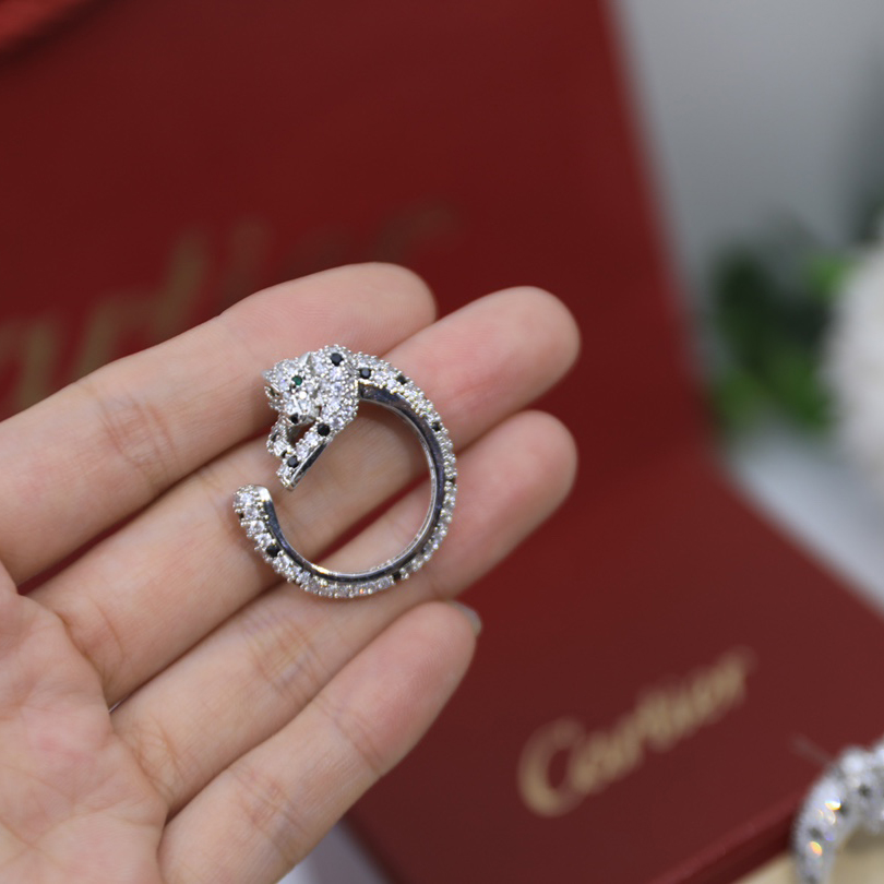 Cartier Earrings - FashionPlug