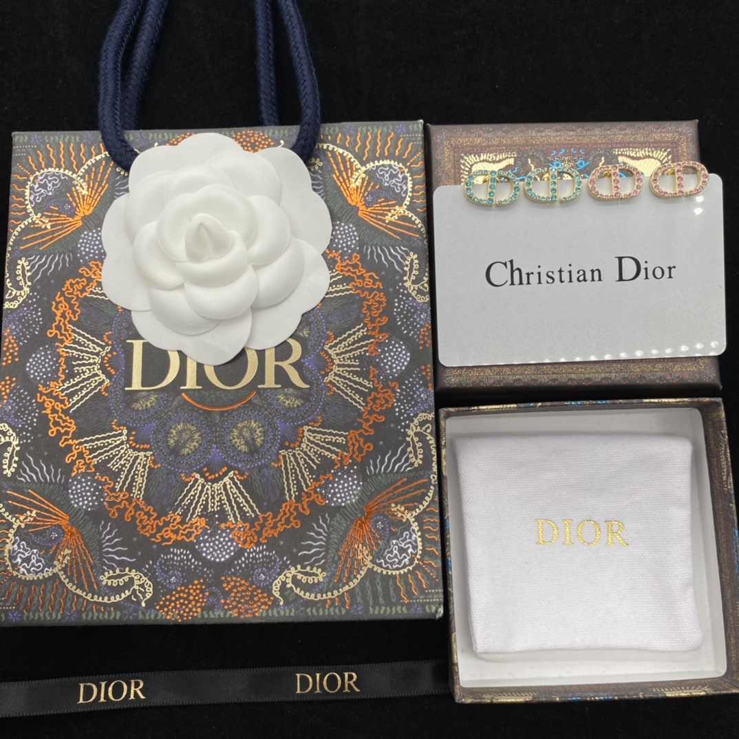 Dior 'CD' Earrings - FashionPlug