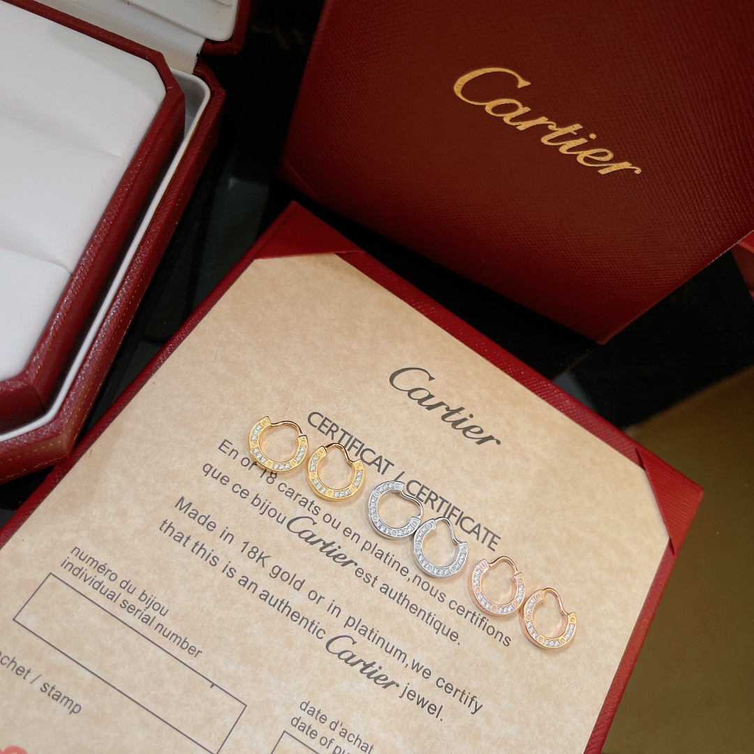Cartier Earrings - FashionPlug