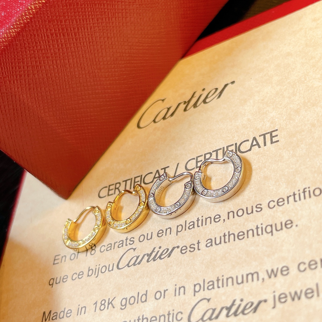 Cartier Earrings - FashionPlug