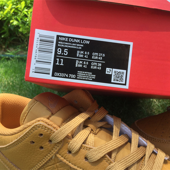 Nike SB Zoom Dunk Low Sneaker  DX3374-700 - FashionPlug