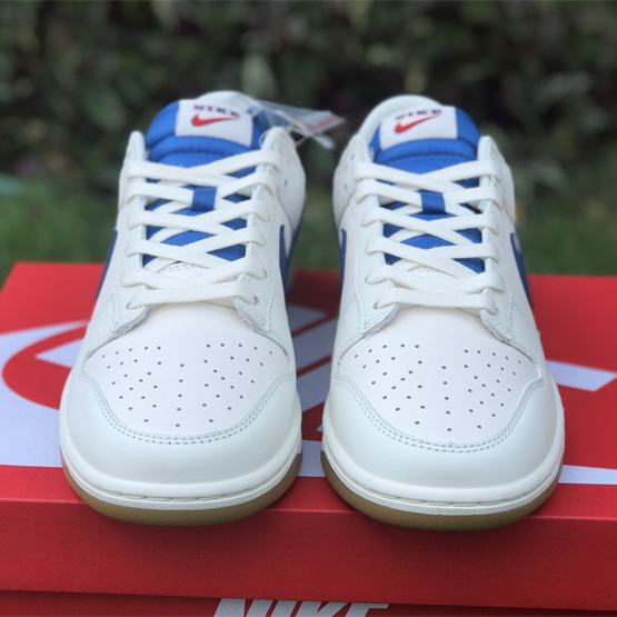 Nike Dunk Low Sneaker    DX3198-133  - FashionPlug