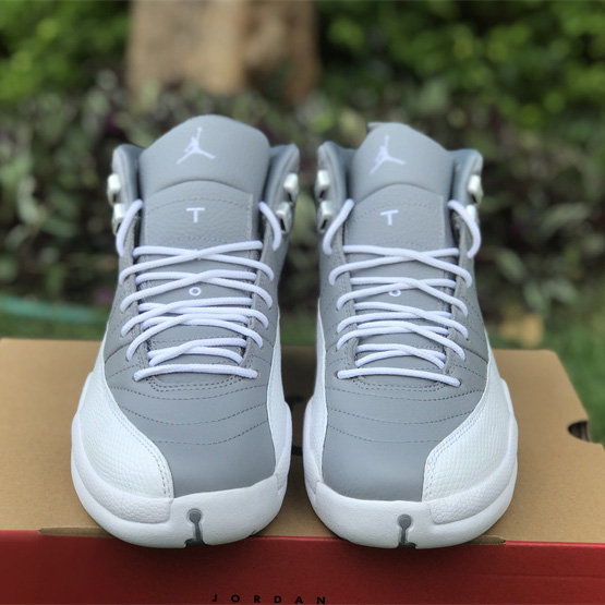 Air Jordan 12 “Stealth” Sneaker   CT8013-015  - FashionPlug
